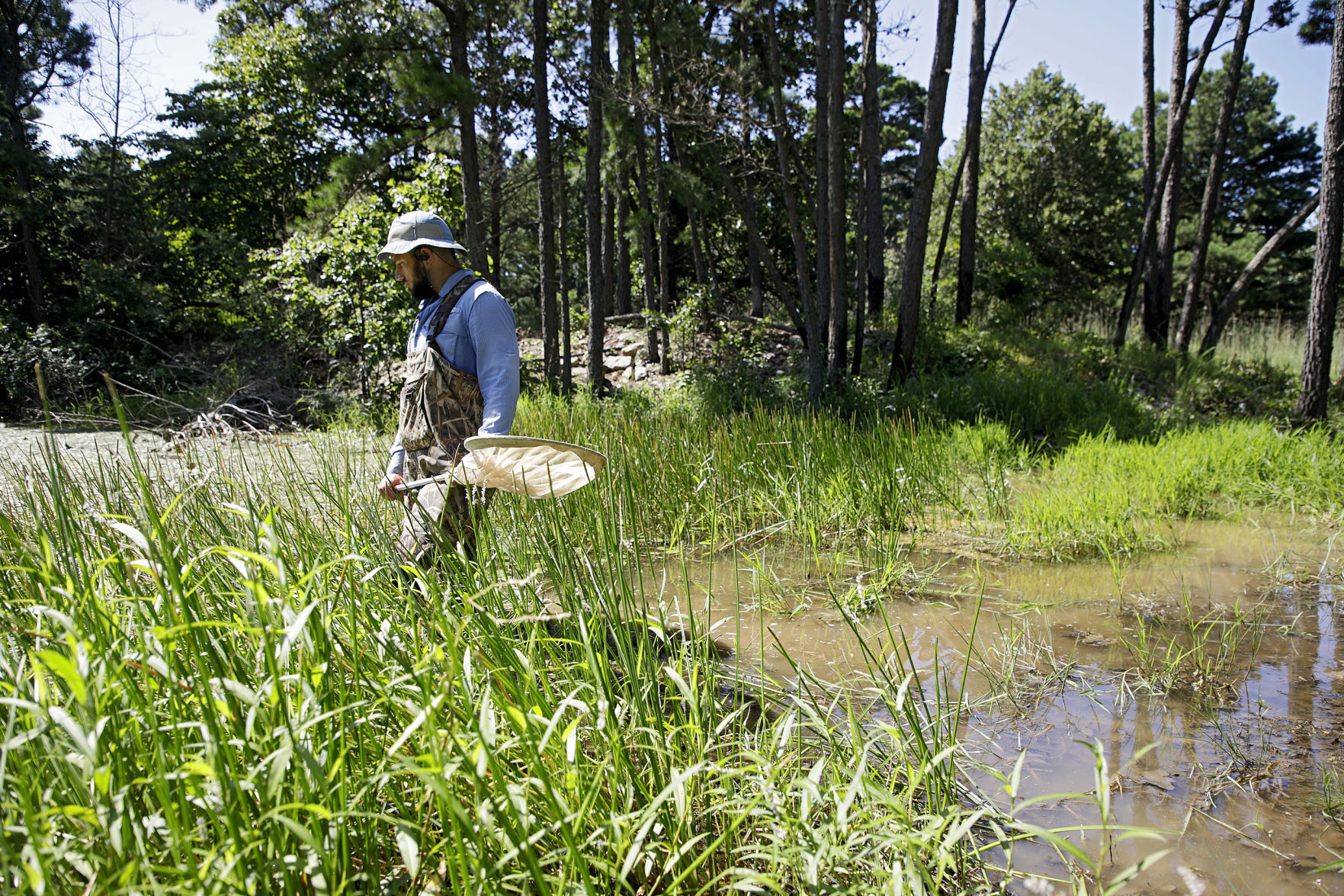NICKEL PRESERVE